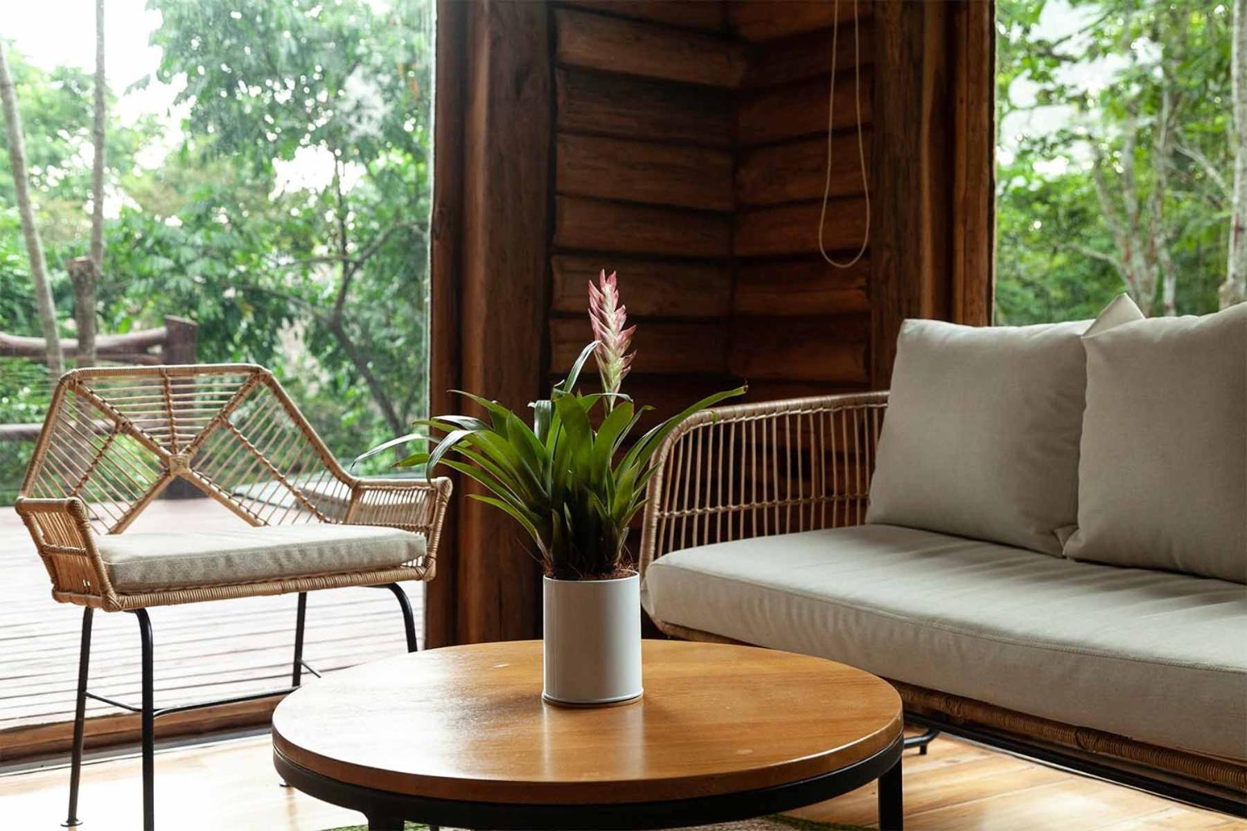 Hotel Boutique Maitta En Doradal Antioquia Exteriör bild